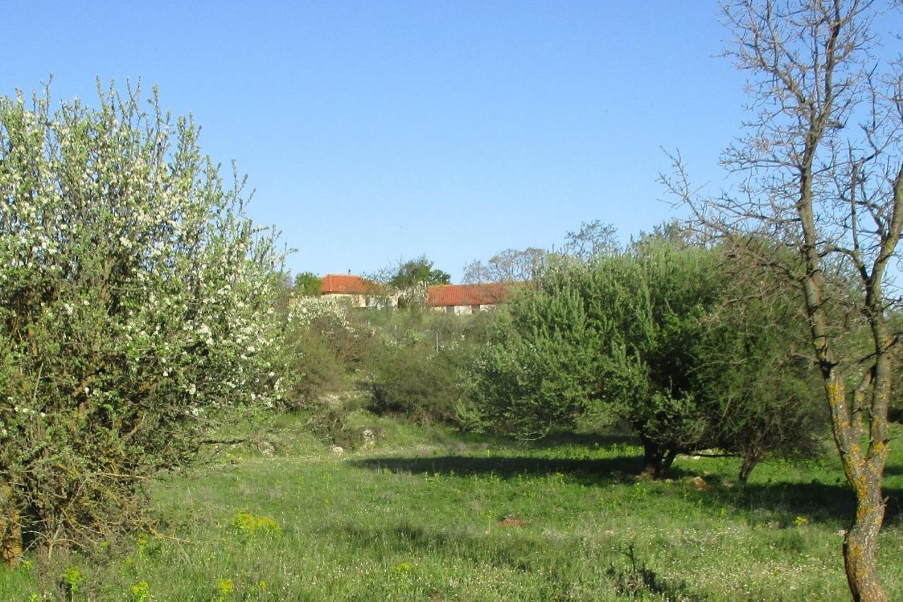 Villa Stone House in a quiet landscape, Leonidion Extérieur photo